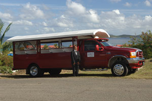 Open-Air Safaris